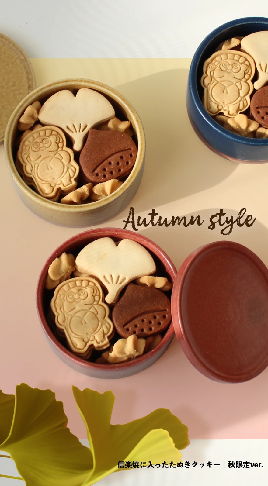 信楽焼に入ったたぬきクッキー – OQRUSTORE